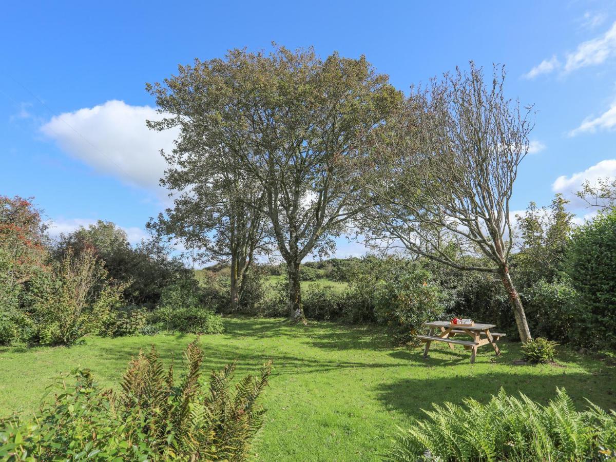 Ffrwd Cottage Bodorgan 外观 照片
